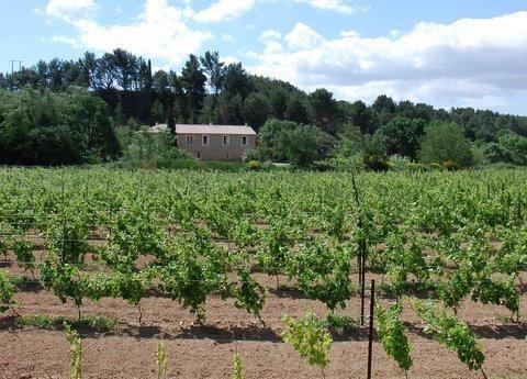 Domaine De "Creva-Tinas" Bed & Breakfast Mailhac Ngoại thất bức ảnh